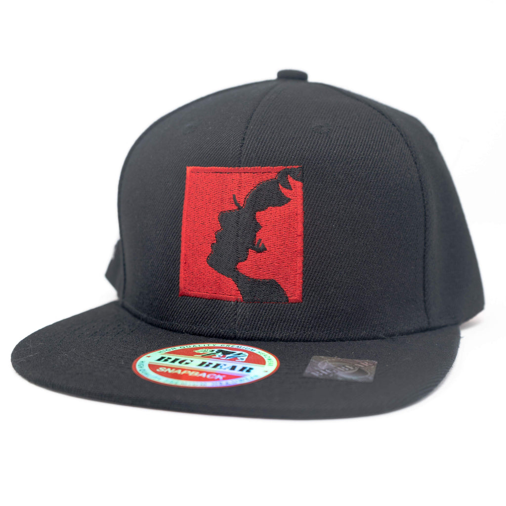 CMS Flat Bill Snapback Hat